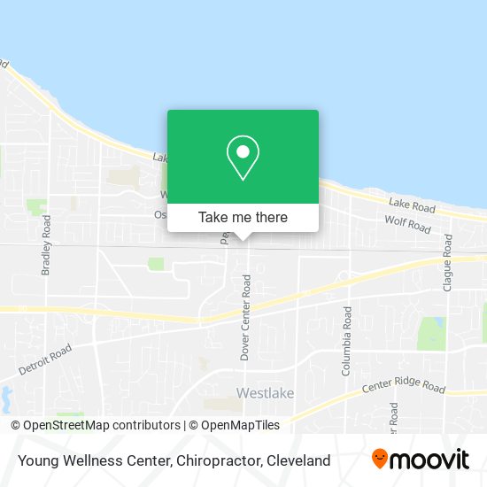 Young Wellness Center, Chiropractor map