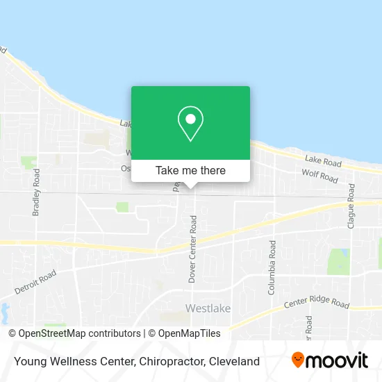 Young Wellness Center, Chiropractor map