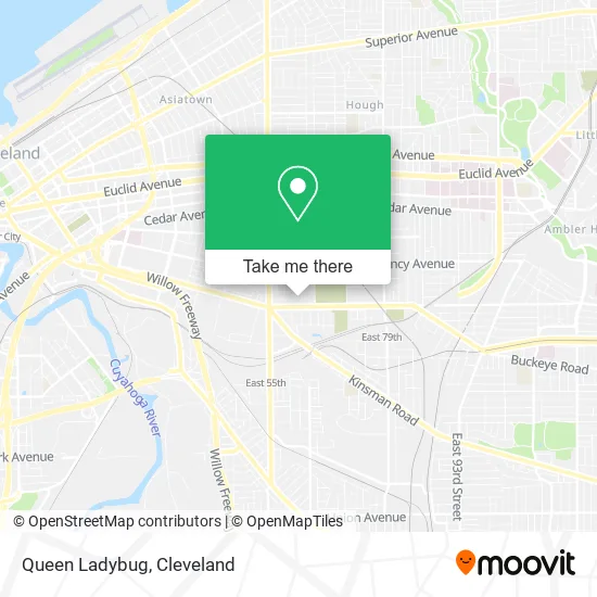 Queen Ladybug map