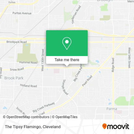The Tipsy Flamingo map