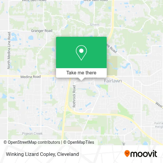 Winking Lizard Copley map