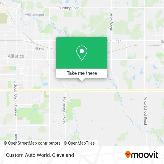 Custom Auto World map