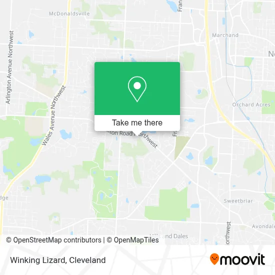 Winking Lizard map