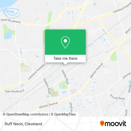 Ruff Neon map