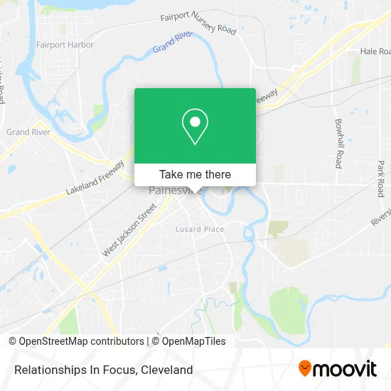 Relationships In Focus map