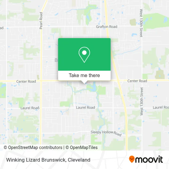 Winking Lizard Brunswick map