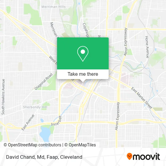 David Chand, Md, Faap map