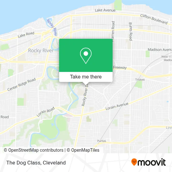 The Dog Class map