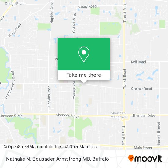 Mapa de Nathalie N. Bousader-Armstrong MD