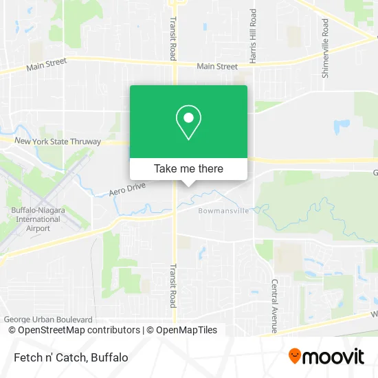 Fetch n' Catch map