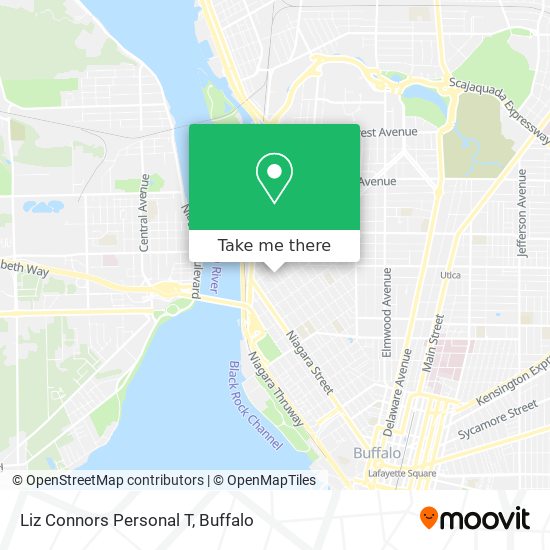 Liz Connors Personal T map
