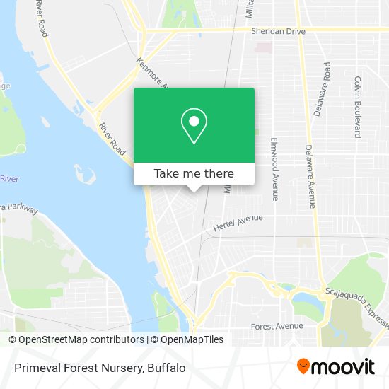 Primeval Forest Nursery map
