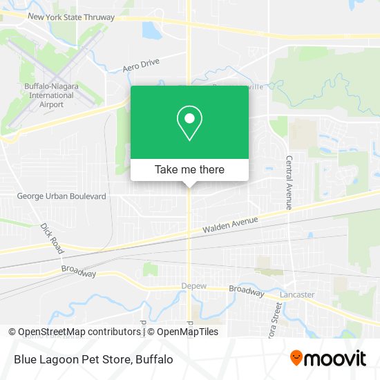 Blue Lagoon Pet Store map