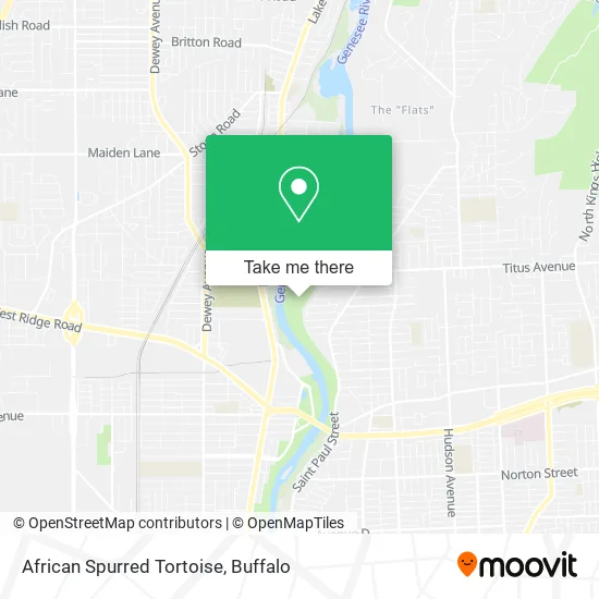 African Spurred Tortoise map