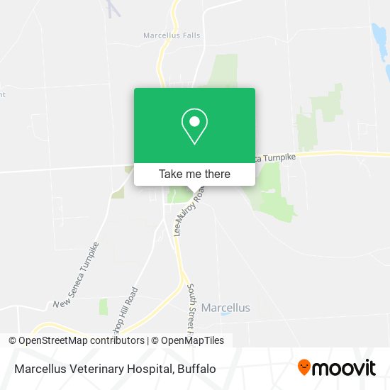 Marcellus Veterinary Hospital map