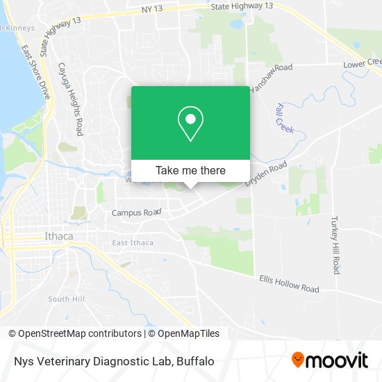 Mapa de Nys Veterinary Diagnostic Lab
