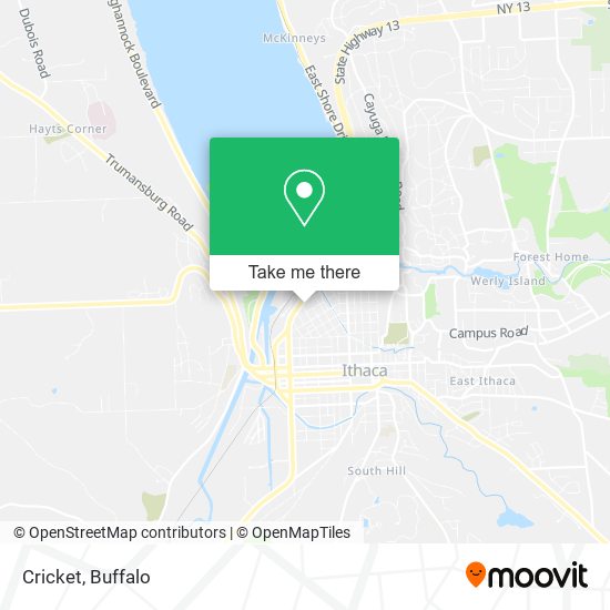 Mapa de Cricket