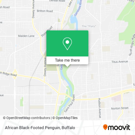 African Black-Footed Penguin map