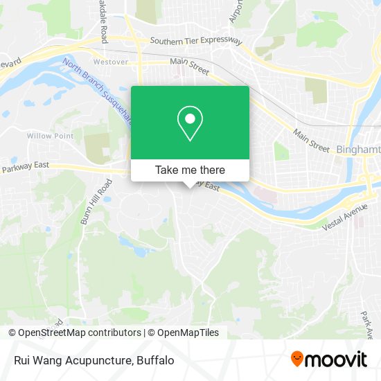 Rui Wang Acupuncture map