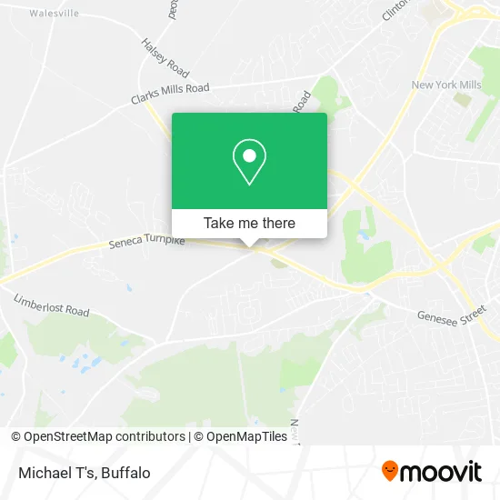 Michael T's map