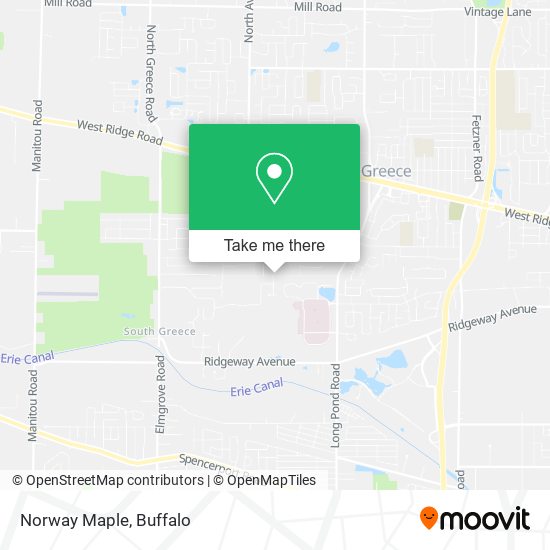 Mapa de Norway Maple