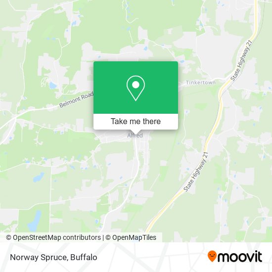 Norway Spruce map