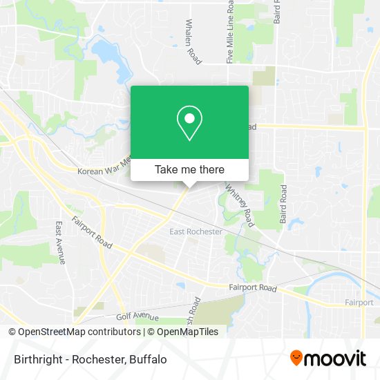 Birthright - Rochester map