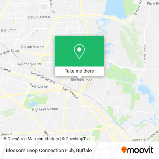 Blossom Loop Connection Hub map