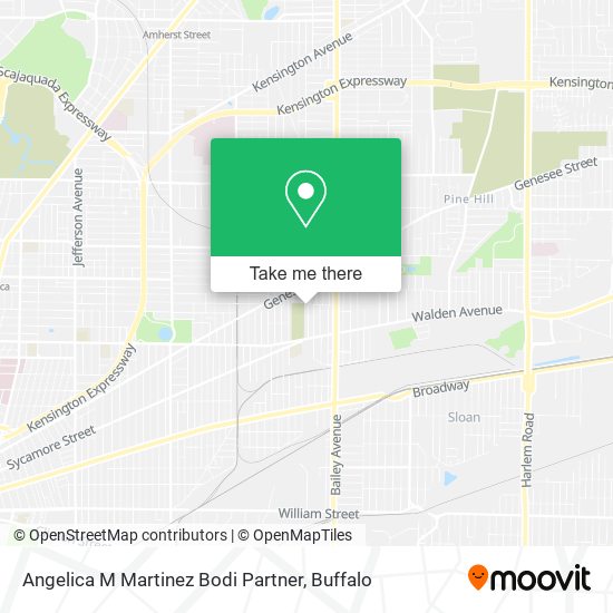Angelica M Martinez Bodi Partner map