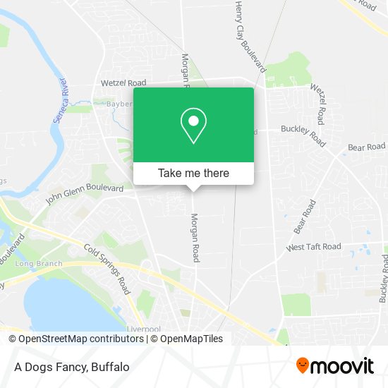 Mapa de A Dogs Fancy