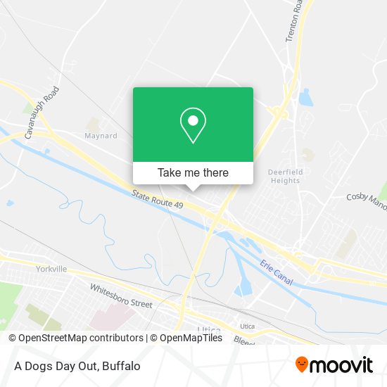 A Dogs Day Out map