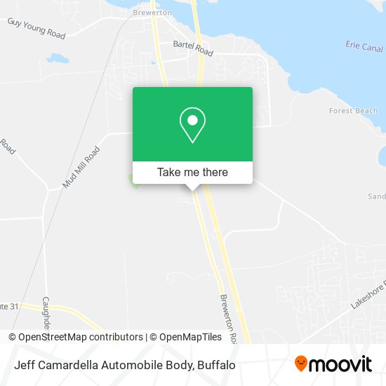 Jeff Camardella Automobile Body map