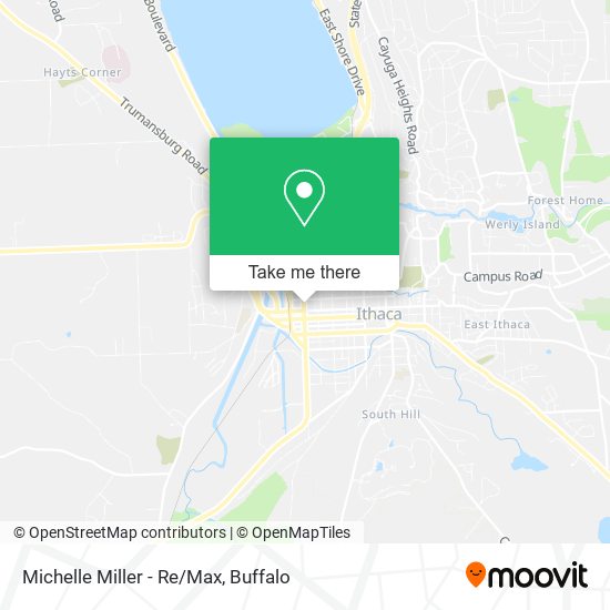 Michelle Miller - Re/Max map