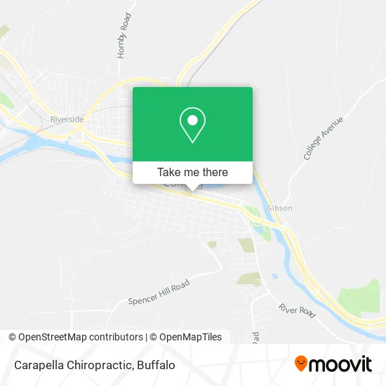 Carapella Chiropractic map