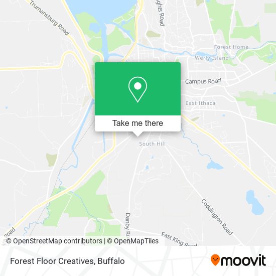 Forest Floor Creatives map