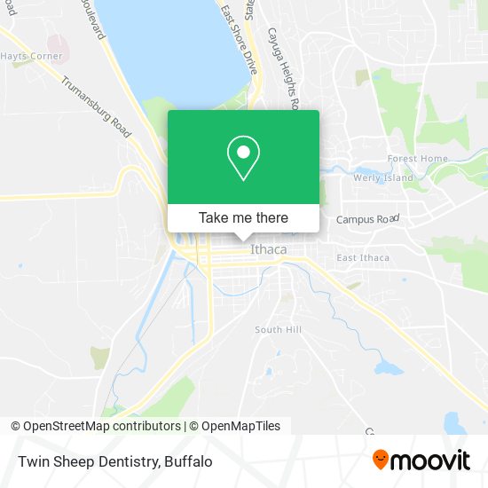 Mapa de Twin Sheep Dentistry
