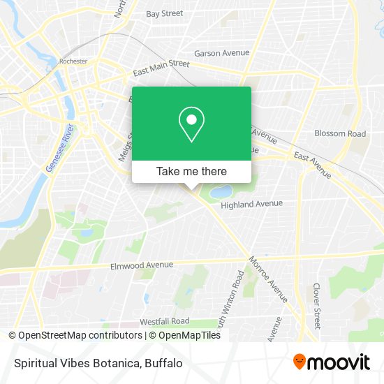 Mapa de Spiritual Vibes Botanica
