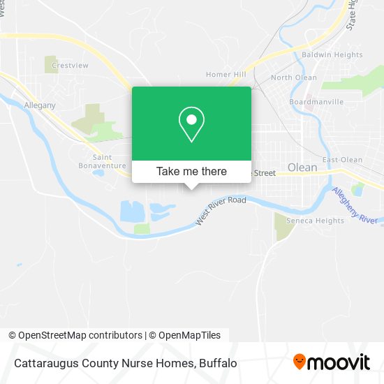 Cattaraugus County Nurse Homes map