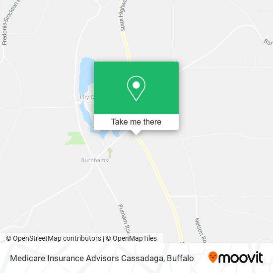 Mapa de Medicare Insurance Advisors Cassadaga