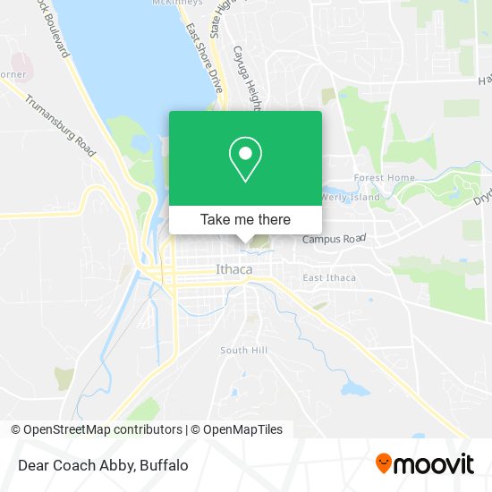 Mapa de Dear Coach Abby