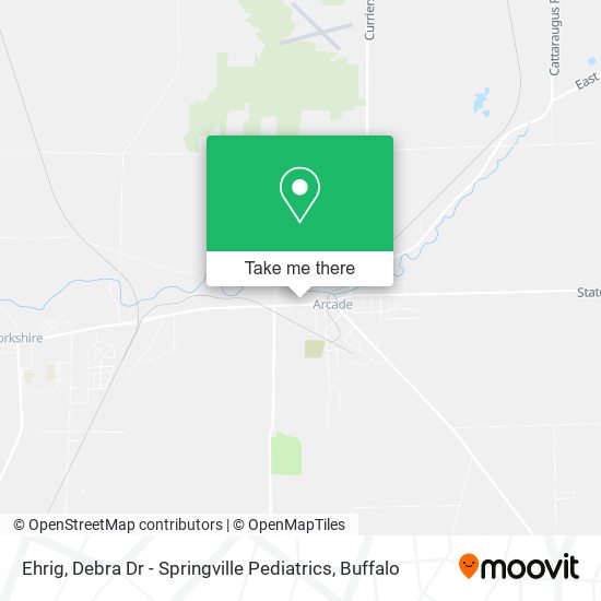Ehrig, Debra Dr - Springville Pediatrics map
