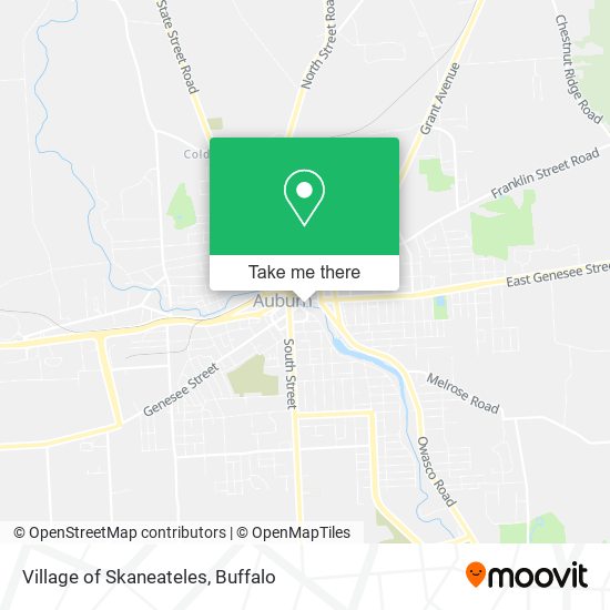 Village of Skaneateles map