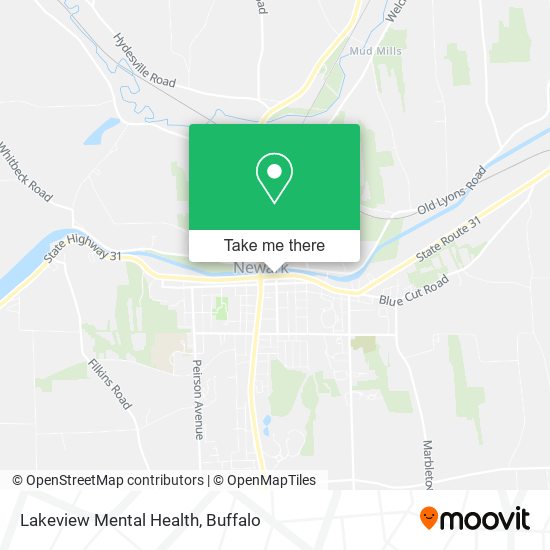 Lakeview Mental Health map
