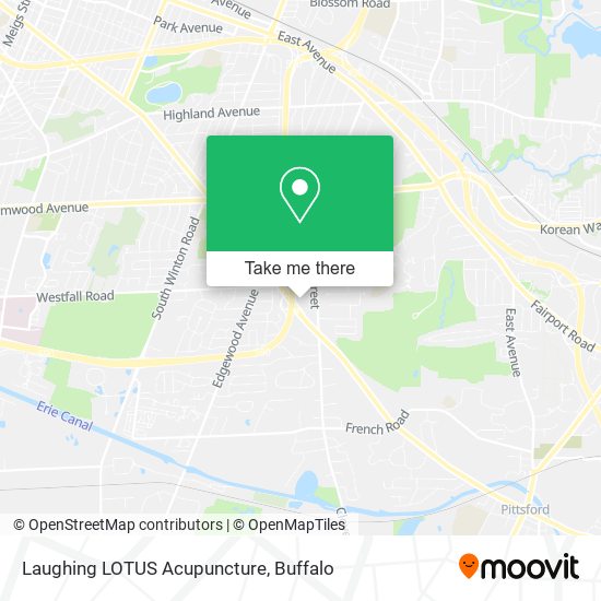 Laughing LOTUS Acupuncture map
