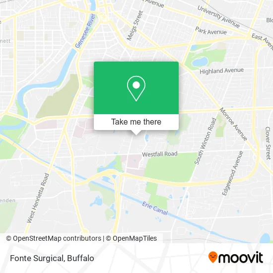 Fonte Surgical map