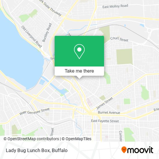 Lady Bug Lunch Box map