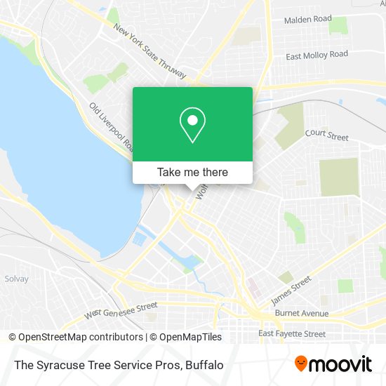 The Syracuse Tree Service Pros map