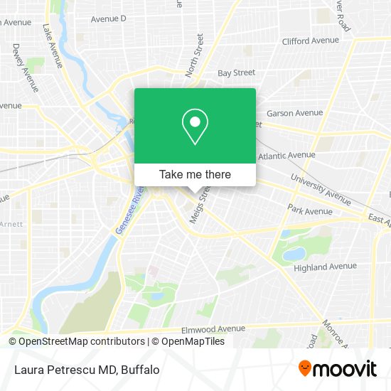 Mapa de Laura Petrescu MD