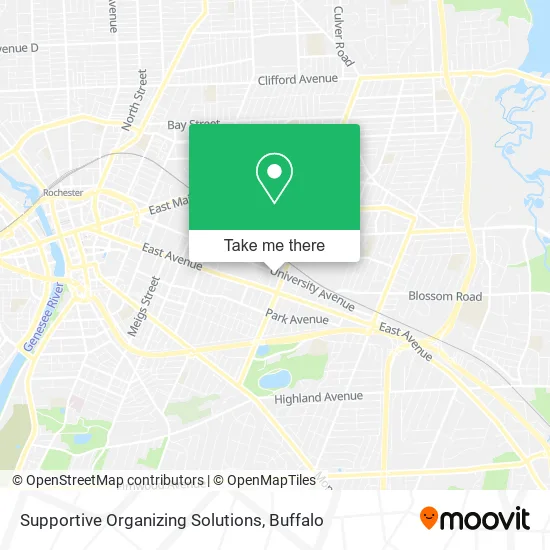 Supportive Organizing Solutions map