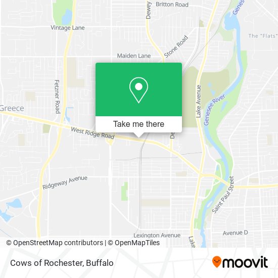 Mapa de Cows of Rochester